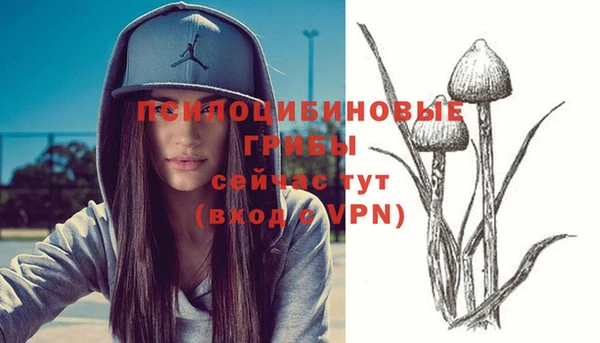 прущие крисы Алексеевка