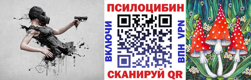 что такое   Казань  блэк спрут   Псилоцибиновые грибы мицелий 