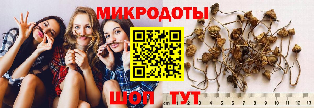 купить наркотики сайты  Галлюциногенные грибы Psilocybe  Вход с VPN  Казань 