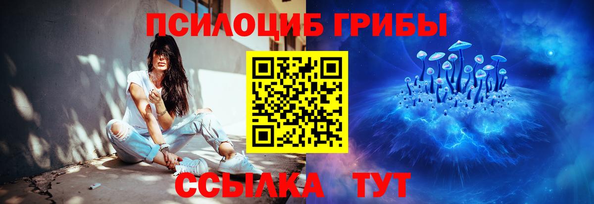 Галлюциногенные грибы Psilocybine cubensis Казань